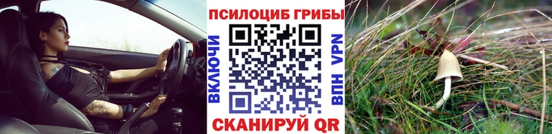 Псилоцибиновые грибы GOLDEN TEACHER  наркота  Адыгейск 